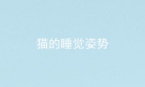 猫的睡觉姿势
