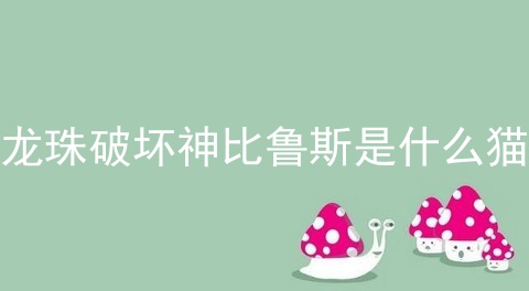 龙珠破坏神比鲁斯是什么猫
