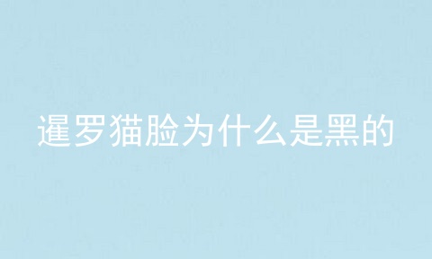 暹罗猫脸为什么是黑的