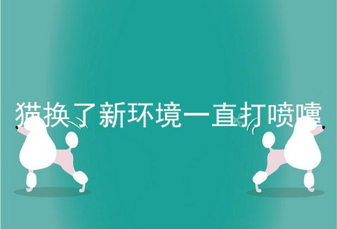 猫换了新环境一直打喷嚏