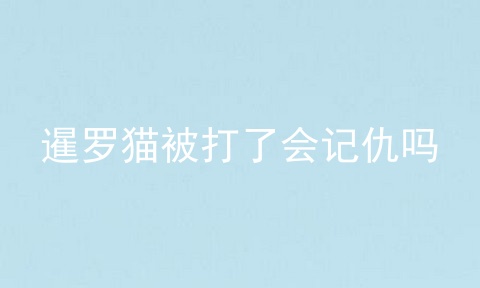暹罗猫被打了会记仇吗