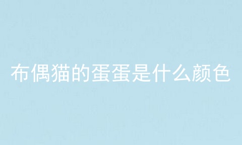 布偶猫的蛋蛋是什么颜色