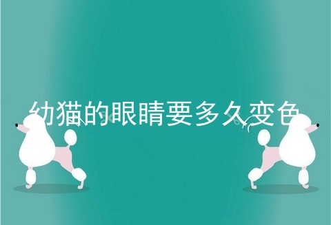 幼猫的眼睛要多久变色
