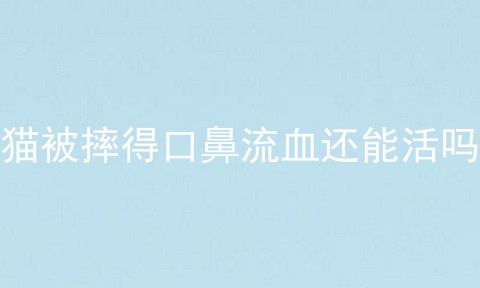 猫被摔得口鼻流血还能活吗