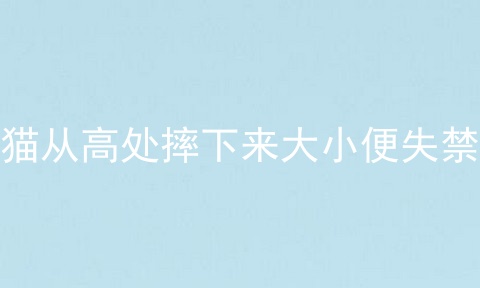 猫从高处摔下来大小便失禁