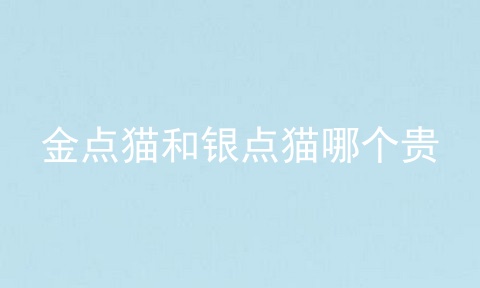 金点猫和银点猫哪个贵