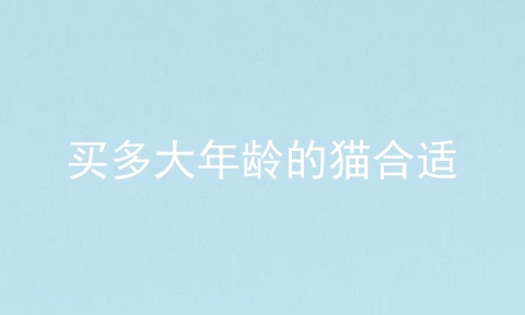 买多大年龄的猫合适