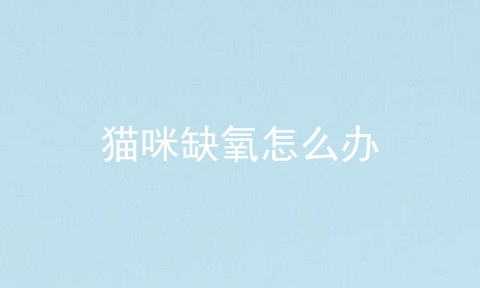 猫咪缺氧怎么办