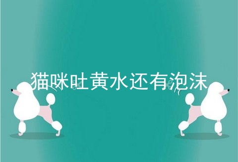 猫咪吐黄水还有泡沫
