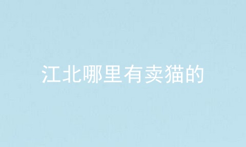 江北哪里有卖猫的