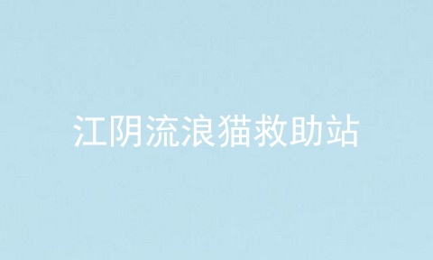 江阴流浪猫救助站