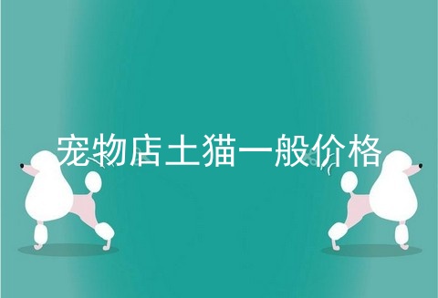 宠物店土猫一般价格