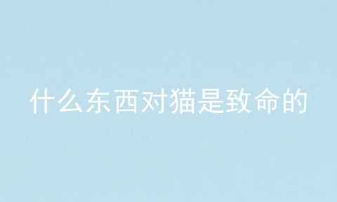 什么东西对猫是致命的