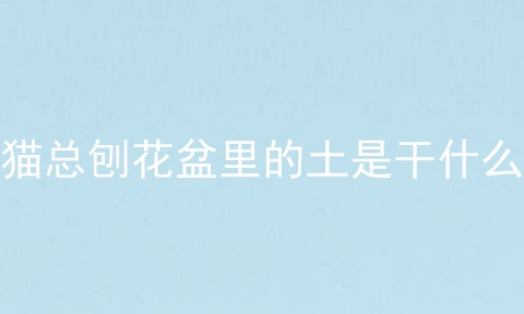 猫总刨花盆里的土是干什么