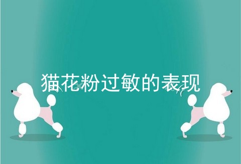猫花粉过敏的表现