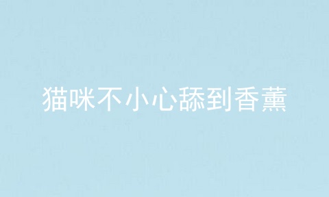 猫咪不小心舔到香薰