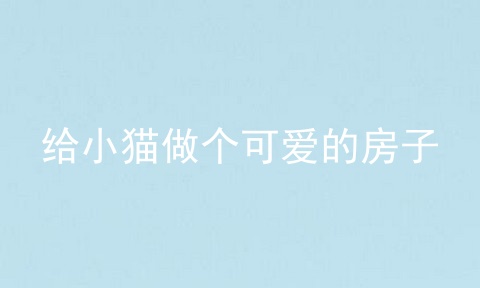 给小猫做个可爱的房子