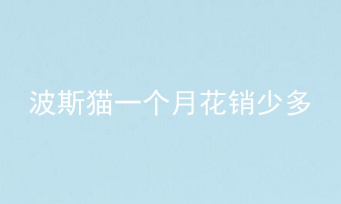 波斯猫一个月花销少多