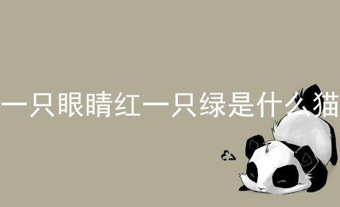 一只眼睛红一只绿是什么猫