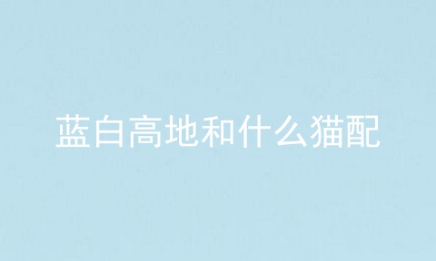 蓝白高地和什么猫配