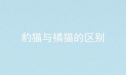 豹猫与橘猫的区别