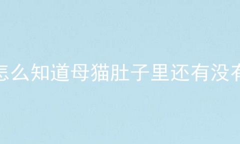 怎么知道母猫肚子里还有没有