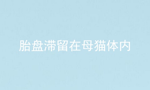 胎盘滞留在母猫体内
