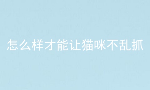 怎么样才能让猫咪不乱抓