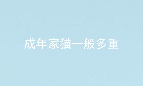 成年家猫一般多重