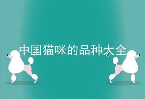 中国猫咪的品种大全