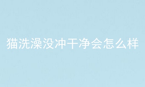 猫洗澡没冲干净会怎么样