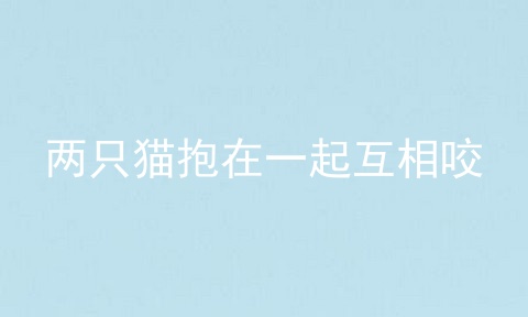 两只猫抱在一起互相咬