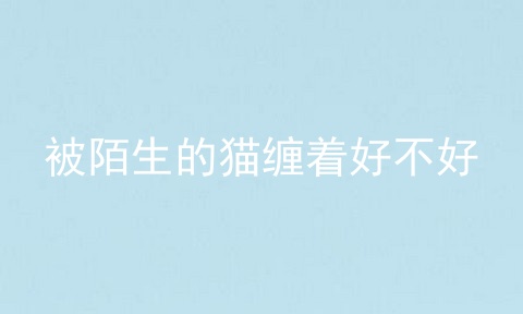 被陌生的猫缠着好不好
