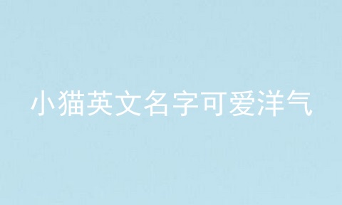 小猫英文名字可爱洋气