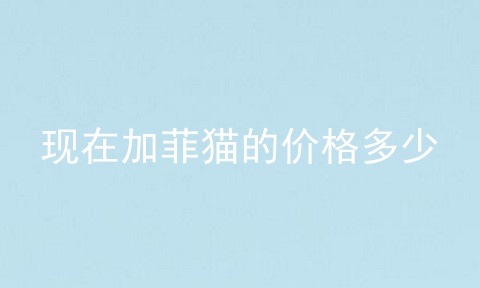 现在加菲猫的价格多少