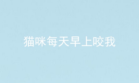 猫咪每天早上咬我