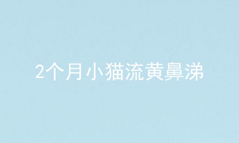 2个月小猫流黄鼻涕