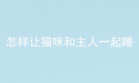 怎样让猫咪和主人一起睡