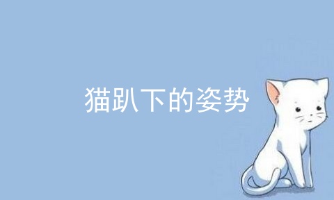 猫趴下的姿势