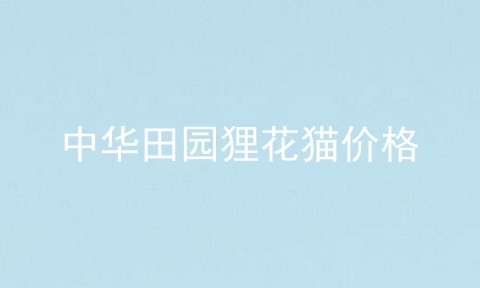 中华田园狸花猫价格