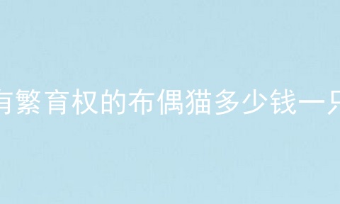 有繁育权的布偶猫多少钱一只