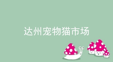 达州宠物猫市场