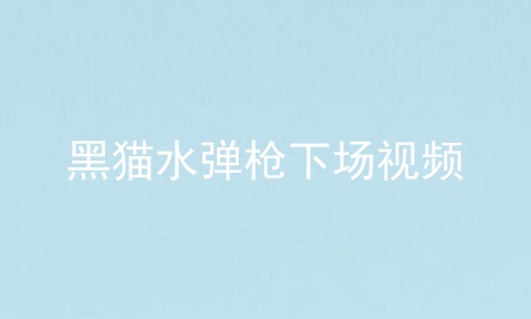 黑猫水弹枪下场视频