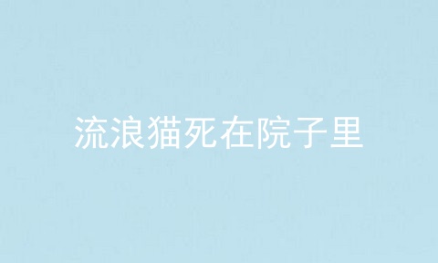 流浪猫死在院子里