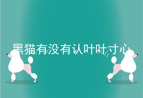 黑猫有没有认叶叶寸心