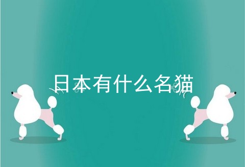 日本有什么名猫