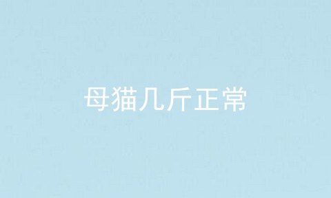 母猫几斤正常
