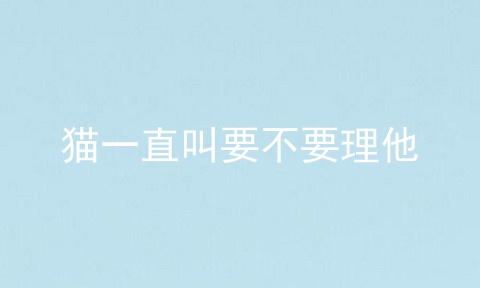 猫一直叫要不要理他
