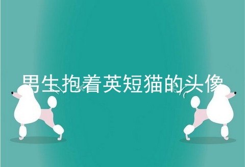 男生抱着<a href=/cat/13.html target=_blank class=infotextkey>英短</a>猫的头像