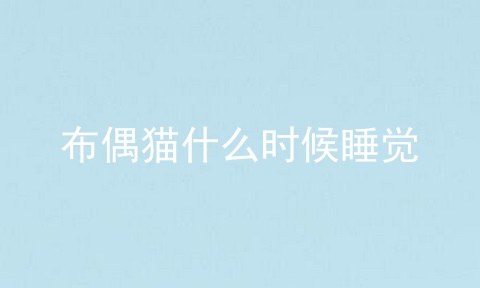 布偶猫什么时候睡觉